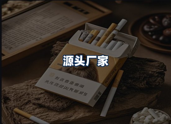专业团队办公环境
